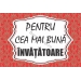 Magneti dedicatie Invatatoare